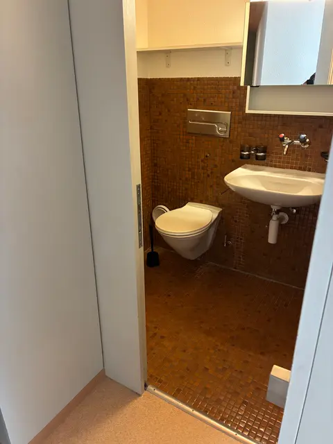 98 Alte Landstrasse photo Half bathroom toilet and sink