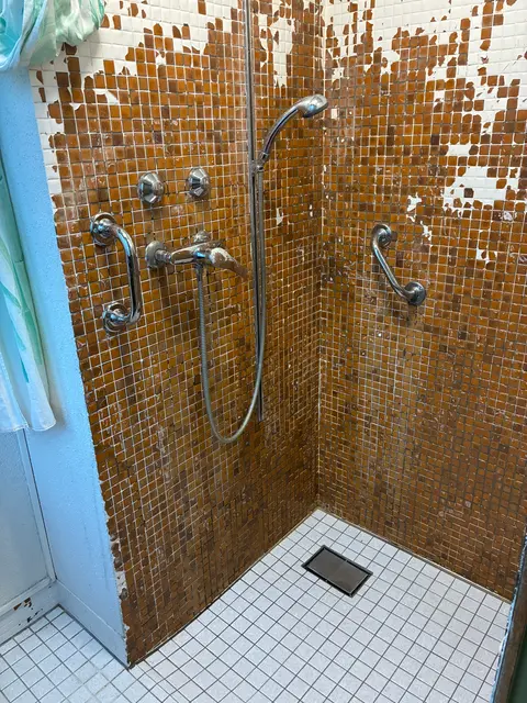 98 Alte Landstrasse photo Shared shower tiles