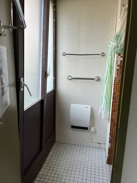 98 Alte Landstrasse photo Shower room grab bars and heater