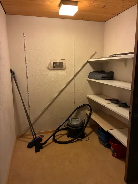 98 Alte Landstrasse photo Storage room and cleaning supplies